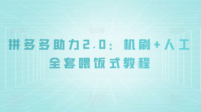 拼夕夕助力 2.0 新玩法：机刷+人工全套交付，喂饭式教程 - 选优云网创