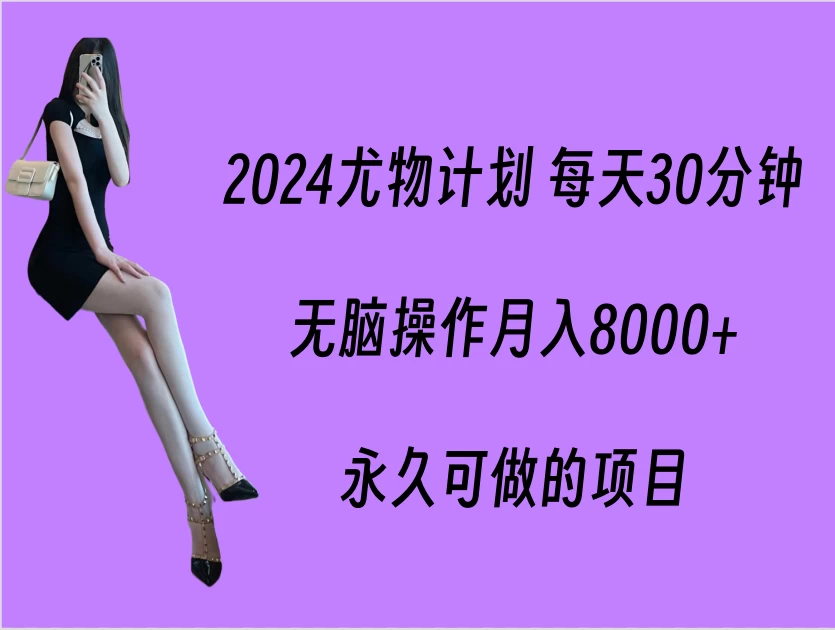 2024尤物计划 每天30分钟，无脑操作月入8000+，永久可做的项目 - 选优云网创