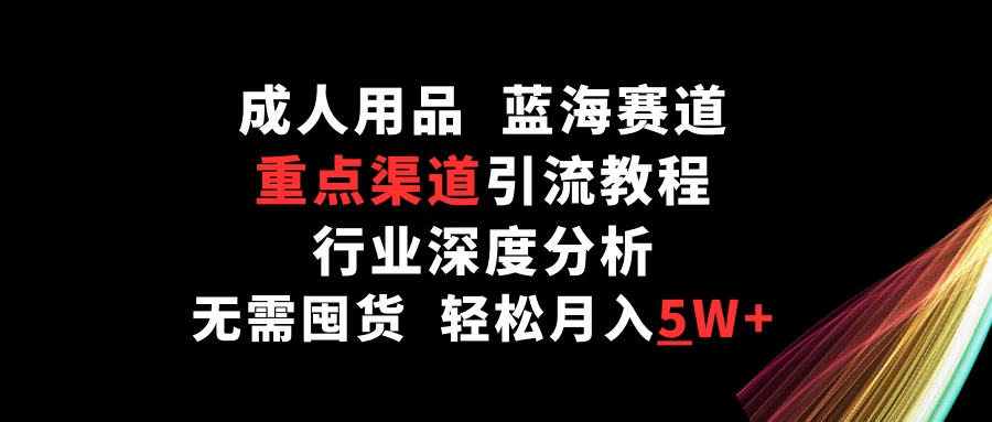 成人用品，蓝海赛道，重点渠道引流教程，行业深度分析，无需囤货，轻松月入5W+ - 选优云网创