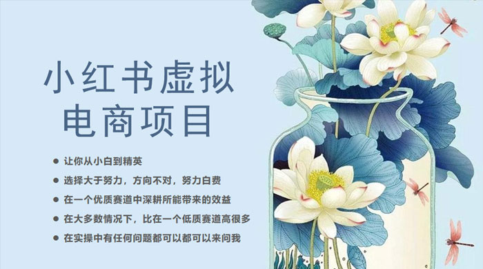 小红书虚拟电商从 0 到 1 ：让你从小白到精英（ 20 节实操课程） - 选优云网创