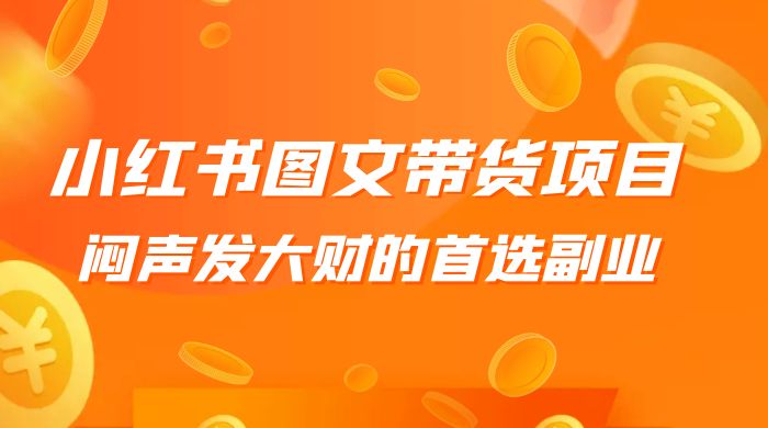 小红书图文带货项目：利润非常巨大，闷声发大财的首选副业 - 选优云网创