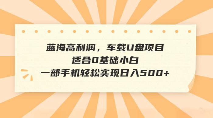 蓝海高利润，车载 U 盘项目，适合 0 基础小白 - 选优云网创