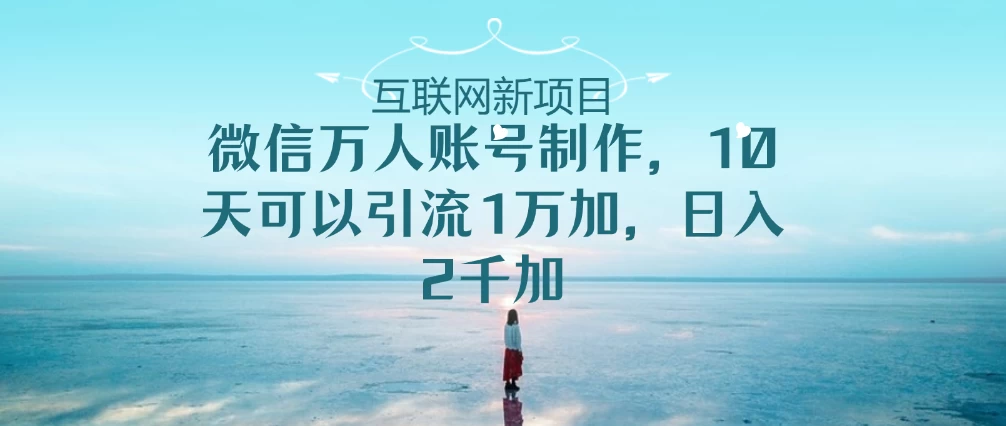 微信万人账号，10天可以引流1W+ 日入2千+ - 选优云网创