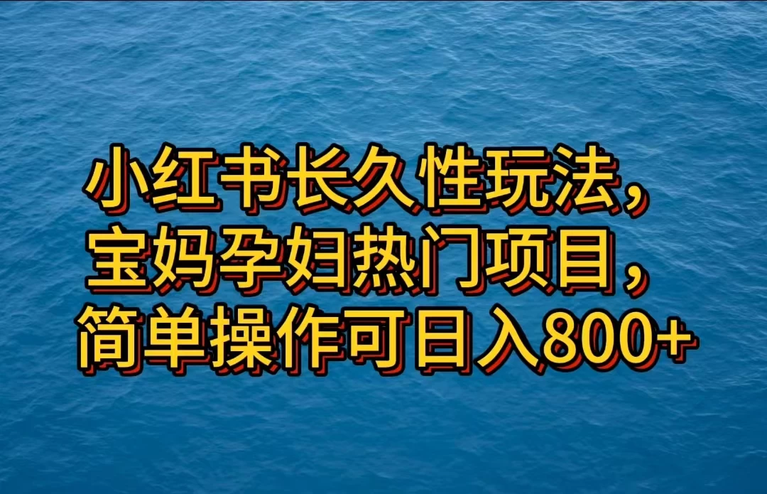 小红书长久性玩法，宝妈孕妇热门项目，简单操作可日入800+ - 选优云网创