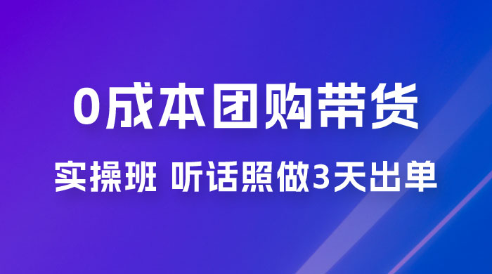 点金手 0 成本团购带货实操班，听话照做 3 天出单 - 选优云网创