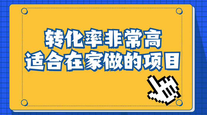 小红书虚拟电商项目:从小白到精英(视频课程+交付手册) - 选优云网创