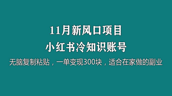 11 月新风口项目，小红书冷知识账号，无脑复制粘贴，一单变现 300 块，适合在家做的副业 - 选优云网创