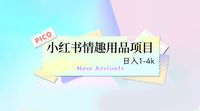 小红书情趣用品项目：详细教程，高转化收益快 - 选优云网创