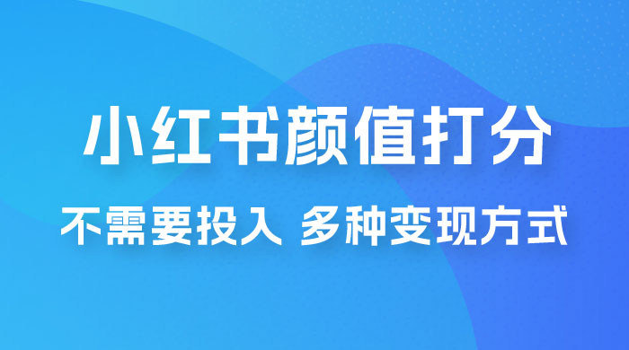 小红书颜值打分新玩法，不需要投入，适合所有人的一份副业，多种变现方式！ - 选优云网创