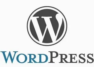 WordPress v6.0.2 中文正式版发布及优化代码 - 选优云网创