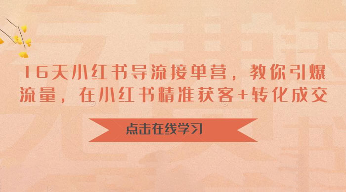 16 天小红书导流接单营：教你引爆流量，在小红书精准获客+转化成交 - 选优云网创