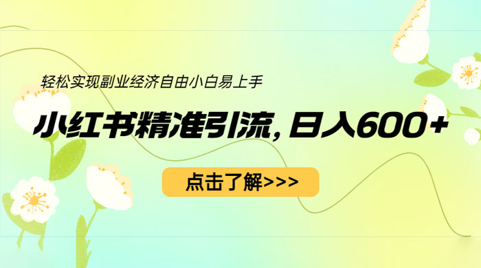 小红书精准引流：轻松实现副业经济自由（教程 + 1153G 资源） - 选优云网创