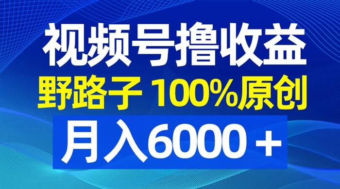 视频号野路子撸收益，100% 原创，条条爆款，月入 6000+ - 选优云网创
