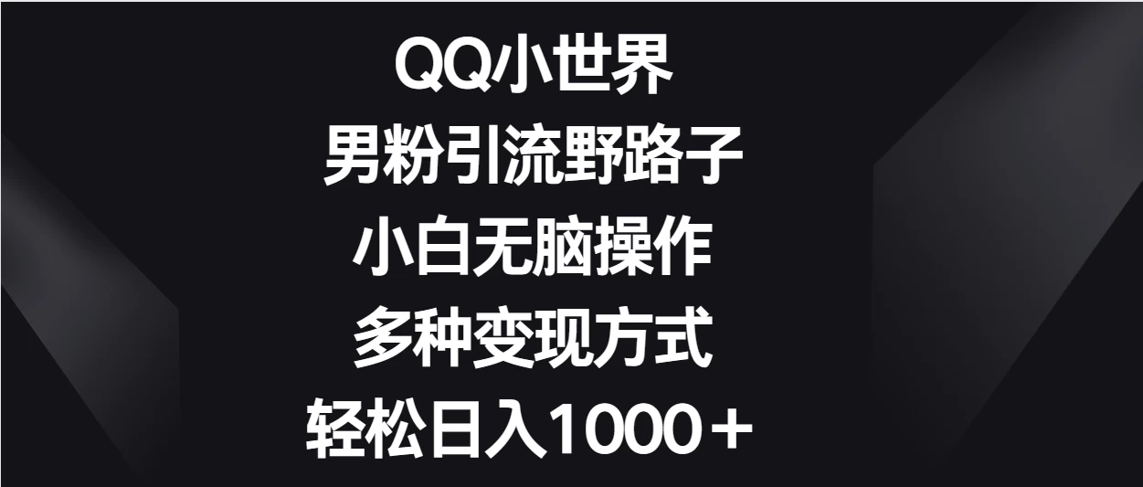 QQ小世界男粉引流野路子，小白无脑操作，多种变现方式轻松日入1000＋ - 选优云网创