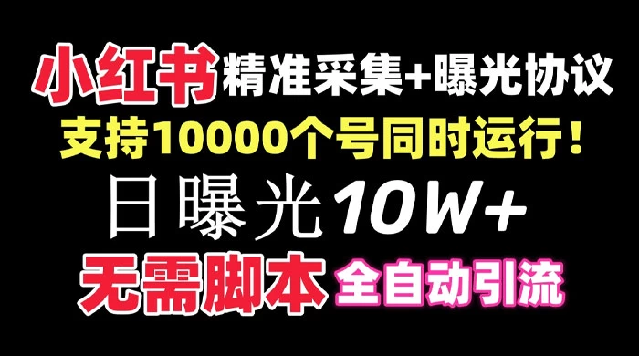 价值 10 万的小红书全自动采集+引流协议一体版！无需手机，支持 10000 个账号同时运行 - 选优云网创
