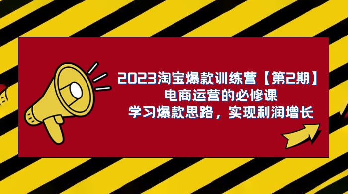 淘系电商视频课，淘宝运营电商合集视频（共 33 节） - 选优云网创