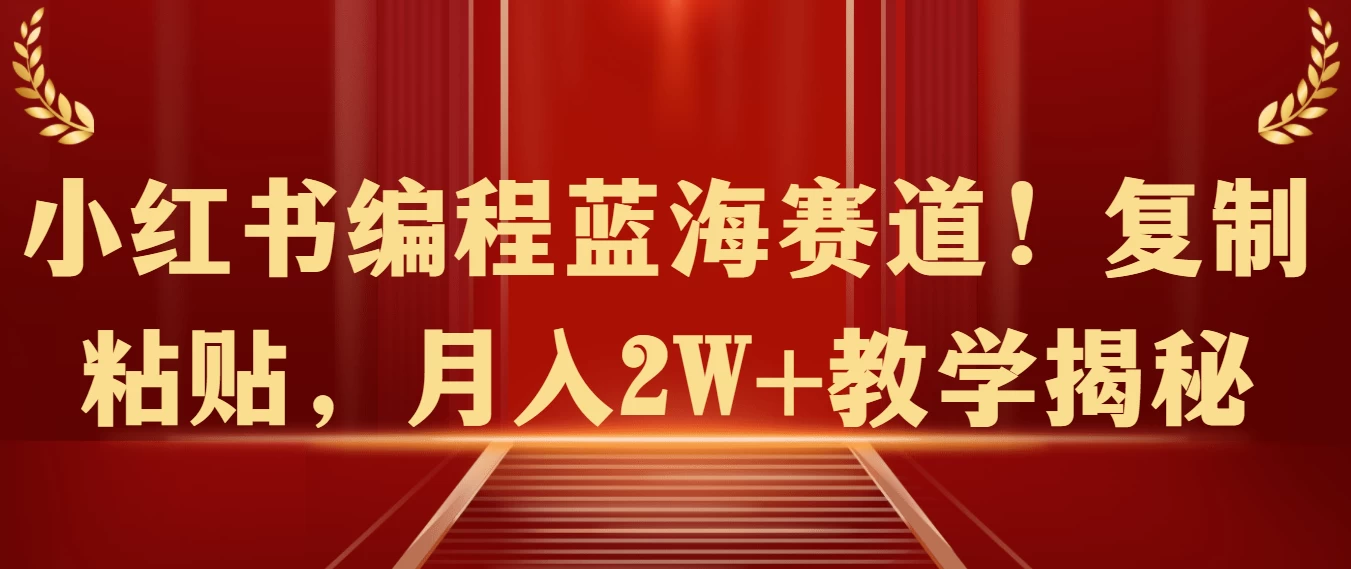 小红书编程蓝海赛道！复制粘贴，月入2W+教学揭秘 - 选优云网创