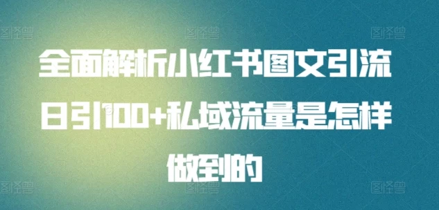 全面解析小红书图文引流日引100私域流量是怎样做到的 - 选优云网创