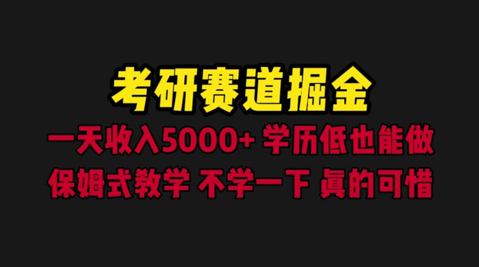 考研赛道掘金：一天四位数，保姆式教学 - 选优云网创