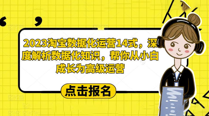 2023 淘宝数据化运营 14 式：深度解析数据化知识，帮你从小白成长为高级运营 - 选优云网创