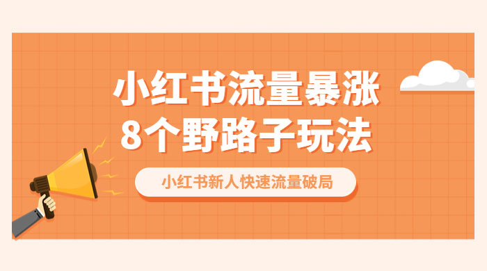 小红书流量暴涨 8 个野路子玩法：小红书新人快速流量破局（ 8 节课） - 选优云网创