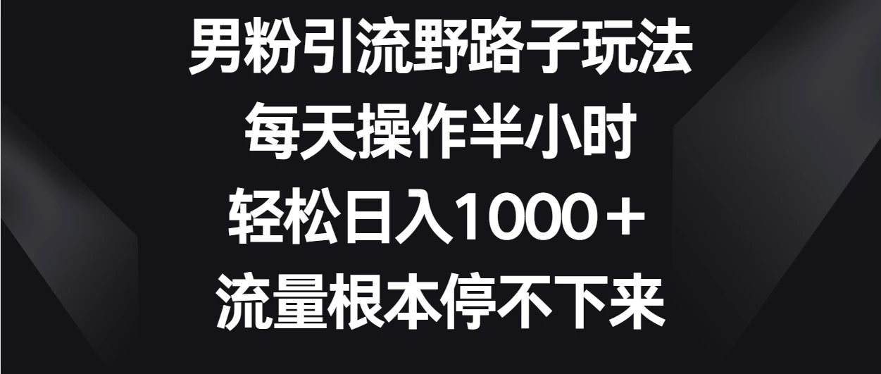 男粉引流野路子玩法，每天操作半小时轻松日入1000＋，流量根本停不下来 - 选优云网创