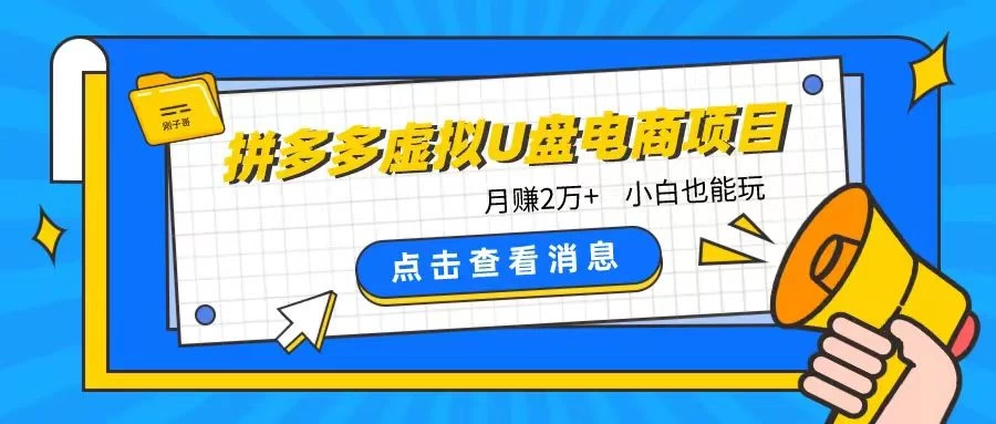 拼多多虚拟U盘电商红利项目：月赚2万+，新手小白也能玩 - 选优云网创