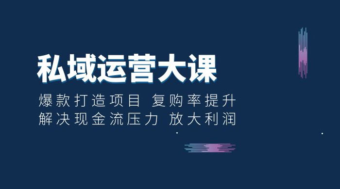 私域运营大课：爆款打造项目，复购率提升，解决现金流压力，放大利润 - 选优云网创