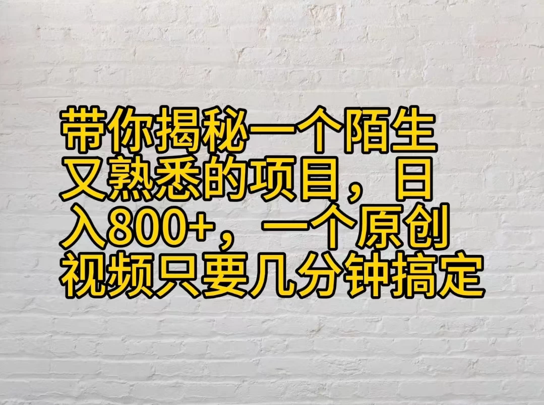 带你揭秘一个陌生又熟悉的项目，日入800+，一个原创视频只要几分钟搞定 - 选优云网创