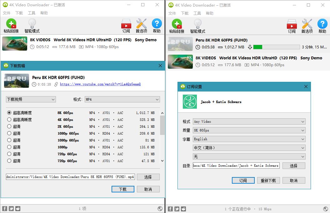 4K Video Downloader v4.19.4 Build 4720 - 选优云网创