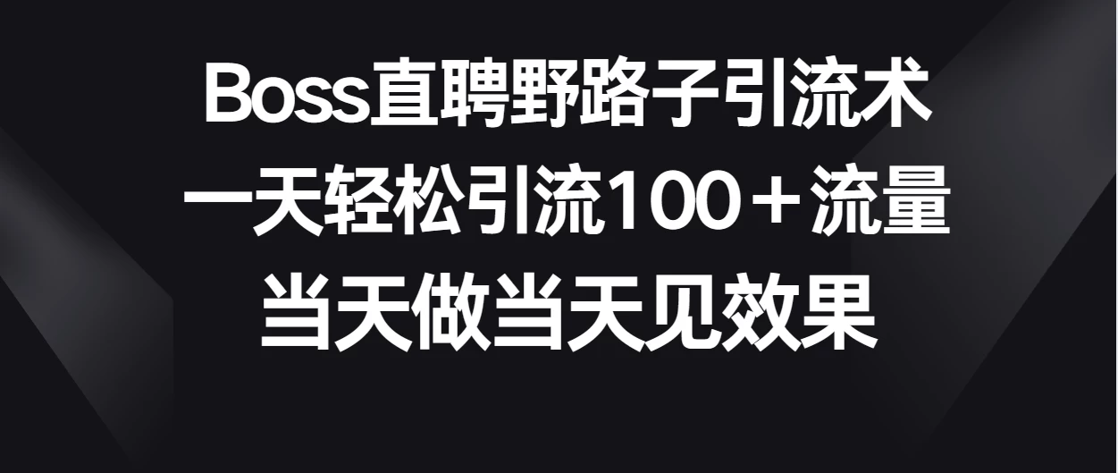 Boss直聘野路子引流术，一天轻松引流100+流量，当天做当天见效果 - 选优云网创