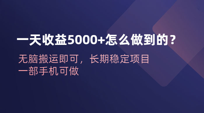一天收益 5000+ 怎么做到的？无脑搬运即可，长期稳定项目，一部手机可做 - 选优云网创