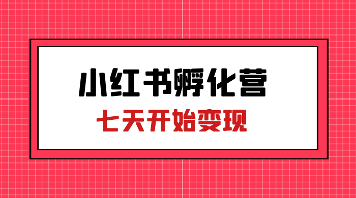 价值 2000+ 的小红书孵化营项目，超级大蓝海，七天即可开始变现，稳定月入 1W+ - 选优云网创