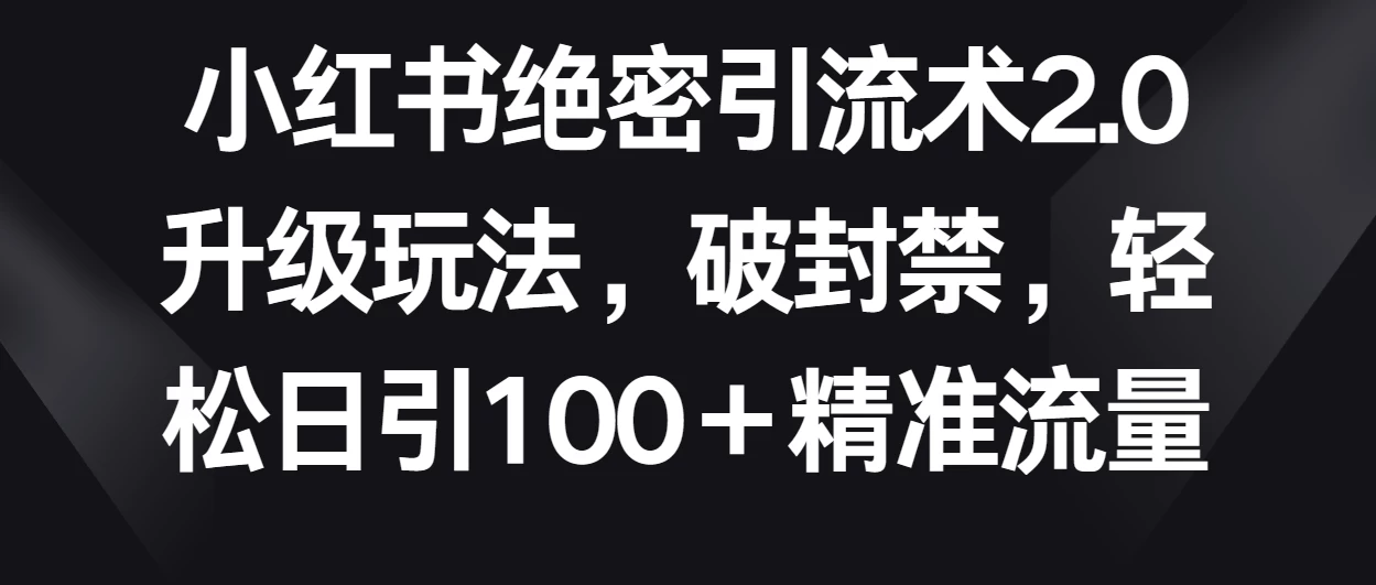 小红书绝密引流术2.0升级玩法，破封禁，轻松日引100＋精准流量 - 选优云网创