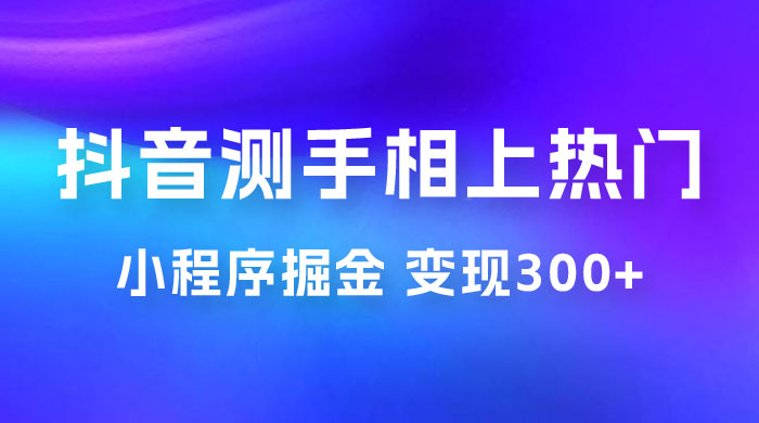 抖音小程序掘金：测手相上热门，当天见收益一小时变现 300+ - 选优云网创