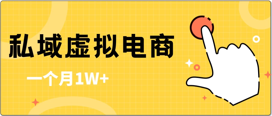 私域虚拟电商，一单50-200，一个月1W+ - 选优云网创