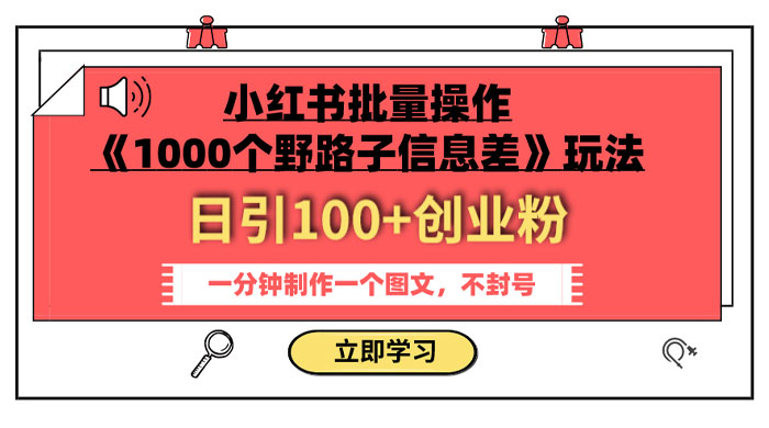 小红书批量操作《 1000 个野路子信息差》玩法，日引 100+ 创业粉，一分钟一个图文 - 选优云网创