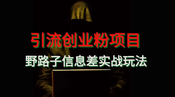 野路子信息差玩法实战教学，引流创业粉 - 选优云网创