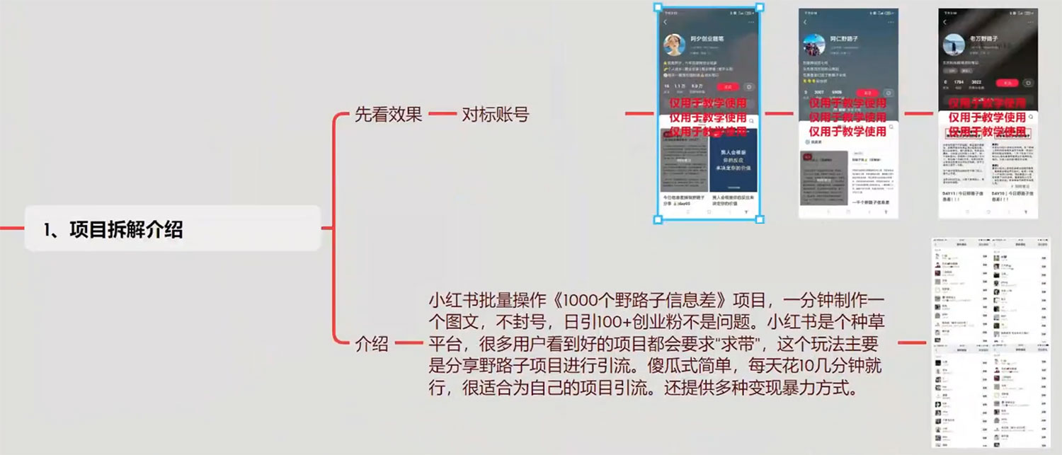 图片[2] - 小红书批量操作《 1000 个野路子信息差》玩法，日引 100+ 创业粉，一分钟一个图文 - 选优云网创