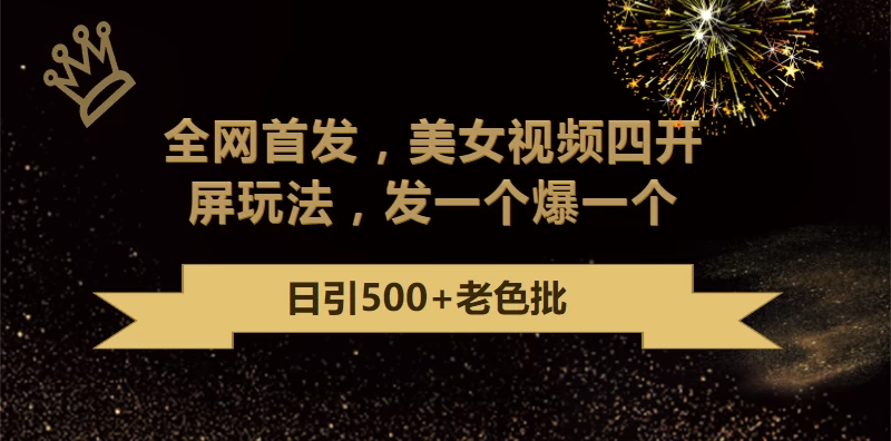 最新成人引流玩法，美女视频四开屏玩法，发一个爆一个，日引流500+精准 - 选优云网创