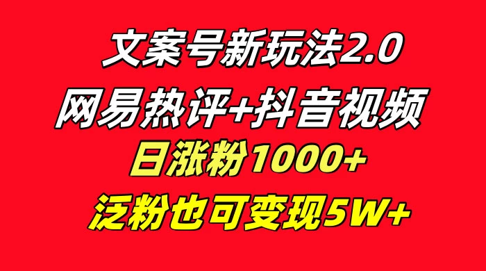 文案号新玩法，网易热评+抖音文案 一周轻松涨粉 5W+ 多种变现模式 - 选优云网创