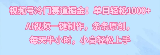 视频号冷门赛道掘金！单日轻松1000+，AI视频一键制作，条条原创，每天半小时，小白轻松上手 - 选优云网创