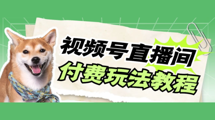 视频号美女付费无人直播，轻松日入500+（详细玩法教程） - 选优云网创