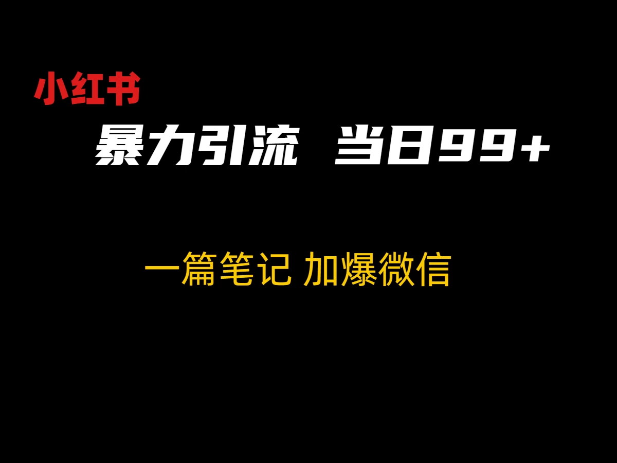 小红书暴力引流方法，当日99+，非常简单的引流方法 - 选优云网创