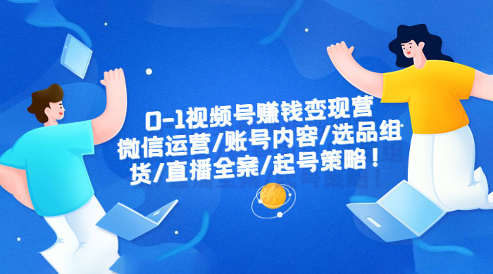 视频号赚钱变现营：微信运营、账号内容、选品组货、直播全案、起号策略 - 选优云网创