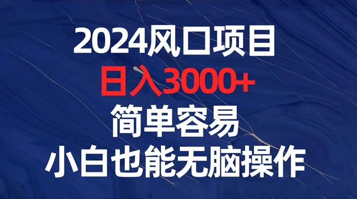 2024 风口项目，日入 3000+，简单容易，小白也能无脑操作 - 选优云网创