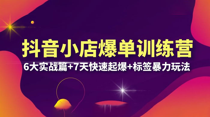 抖音小店爆单训练营 VIP 线下课：6 大实战篇 + 7 天快速起爆 + 标签暴力玩法「 32 节」 - 选优云网创