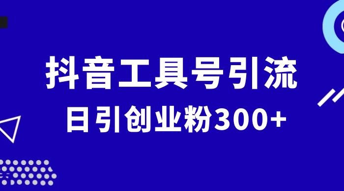 抖音工具号引流玩法，日引创业粉 300+ - 选优云网创