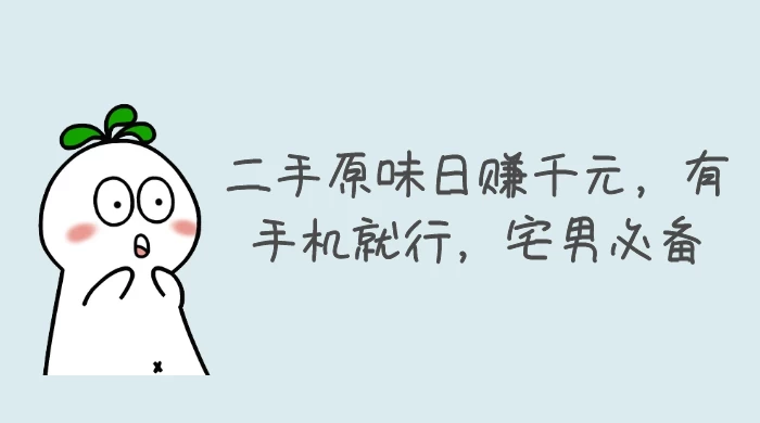 二手原味日赚千元，有手机就行，宅男必备【揭秘】 - 选优云网创