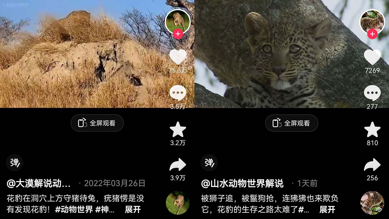 外面卖 1699 的国外纪录片解说：动物、美食、动画片解说，稳过中视频 - 选优云网创